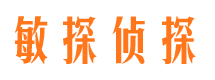 顺河市婚外情调查